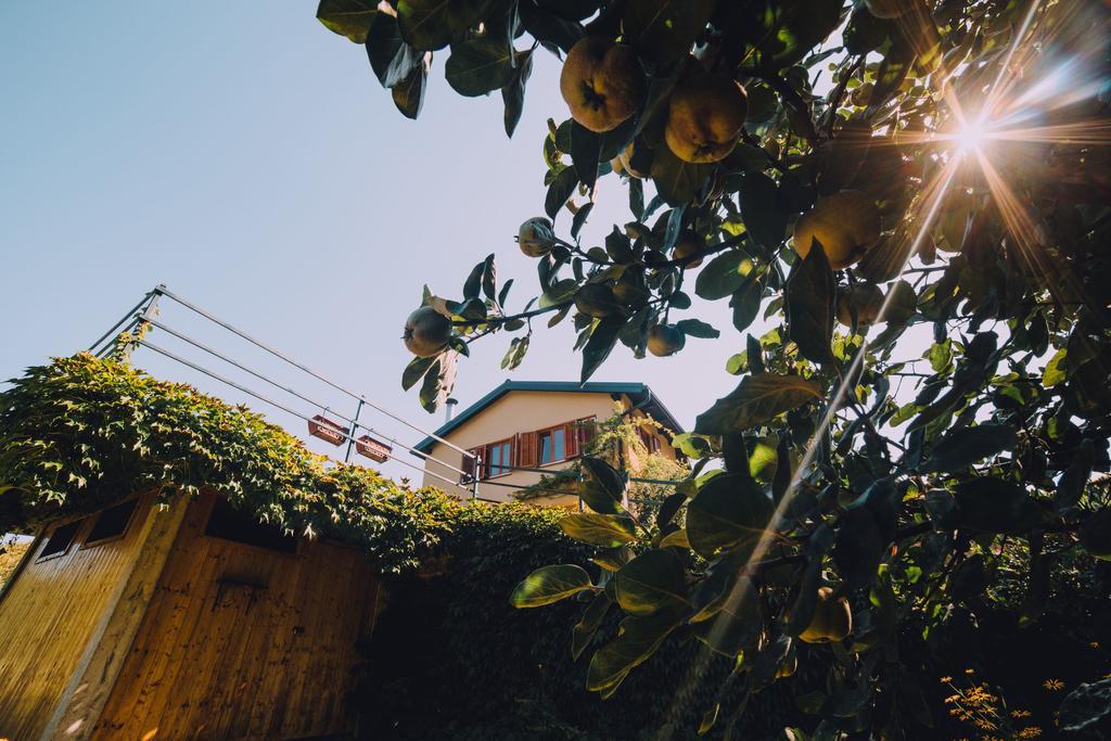 Holiday Home Castanea Praporcan Exterior photo