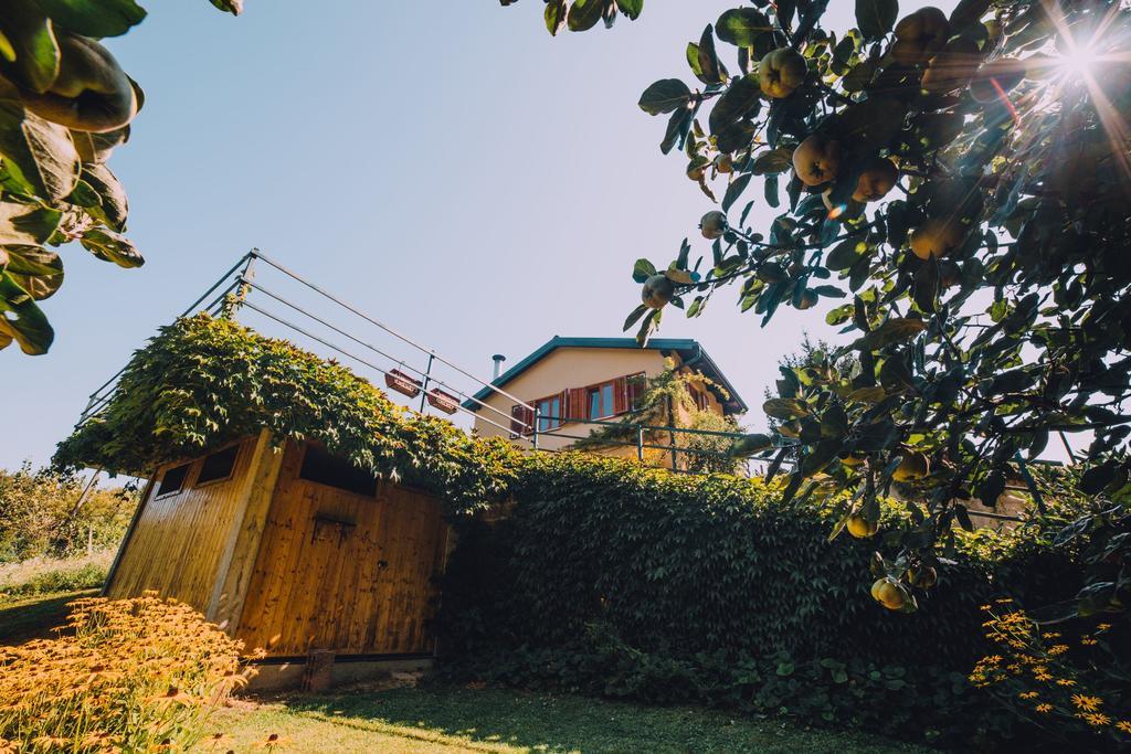 Holiday Home Castanea Praporcan Exterior photo
